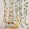 Perfect Holiday 66 LED Ivy Leaf Curtain String Lights Battery Operated - Warm White